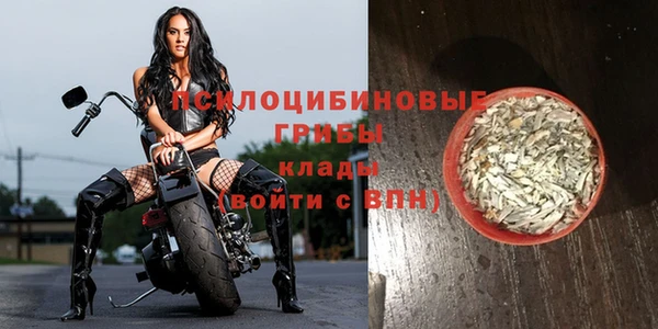 МДПВ Алексин